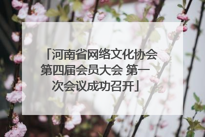 河南省网络文化协会第四届会员大会 第一次会议成功召开