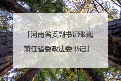 河南省委副书记张巍兼任省委政法委书记