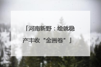 河南新野：绘就稳产丰收“金画卷”