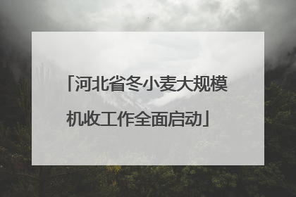河北省冬小麦大规模机收工作全面启动
