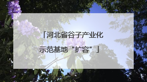 河北省谷子产业化示范基地“扩容”