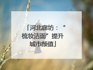 河北廊坊：“梳妆洁面”提升城市颜值