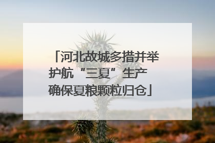 河北故城多措并举护航“三夏”生产 确保夏粮颗粒归仓