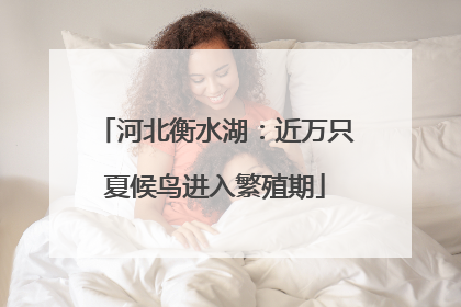 河北衡水湖：近万只夏候鸟进入繁殖期