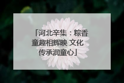 河北辛集：粽香童趣相辉映 文化传承润童心