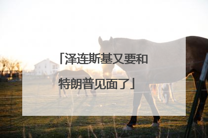 泽连斯基又要和特朗普见面了