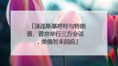 泽连斯基呼吁与特朗普、普京举行三方会谈，美俄暂未回应
