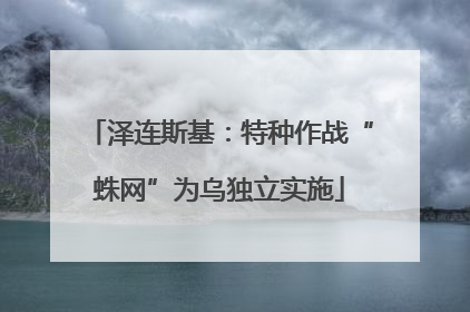 泽连斯基：特种作战“蛛网”为乌独立实施