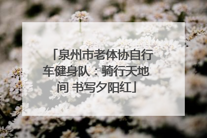 泉州市老体协自行车健身队：骑行天地间 书写夕阳红