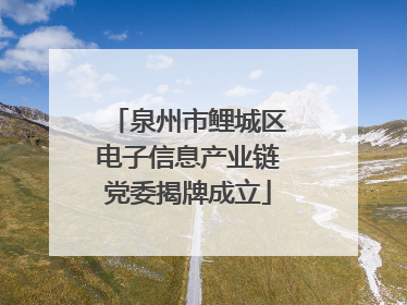 泉州市鲤城区电子信息产业链党委揭牌成立