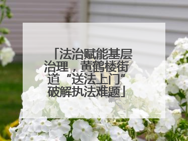 法治赋能基层治理，黄鹤楼街道“送法上门”破解执法难题