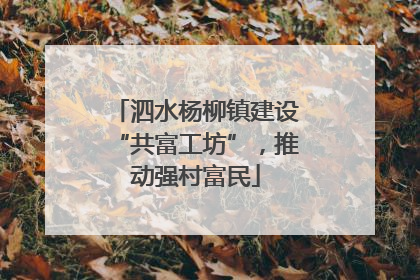 泗水杨柳镇建设“共富工坊”，推动强村富民
