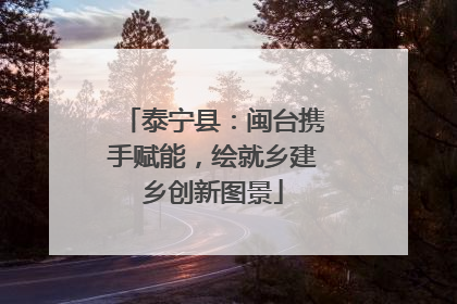泰宁县：闽台携手赋能，绘就乡建乡创新图景