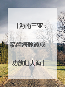 海南三亚：糙齿海豚被成功放归大海