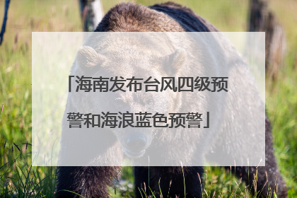 海南发布台风四级预警和海浪蓝色预警
