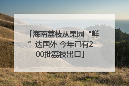 海南荔枝从果园“鲜”达国外 今年已有200批荔枝出口