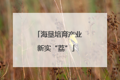 海垦培育产业新实“荔”