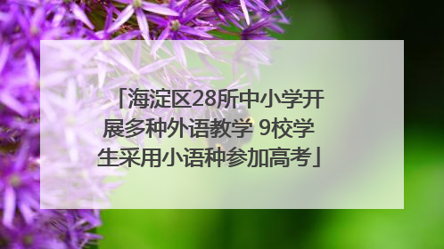 海淀区28所中小学开展多种外语教学 9校学生采用小语种参加高考