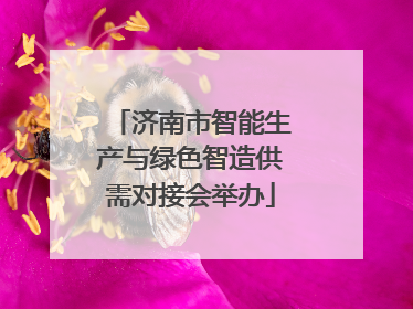 济南市智能生产与绿色智造供需对接会举办