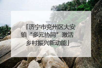 济宁市兖州区大安镇“多元协同”激活乡村振兴新动能