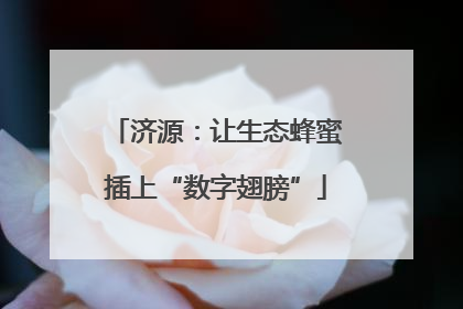 济源：让生态蜂蜜插上“数字翅膀”