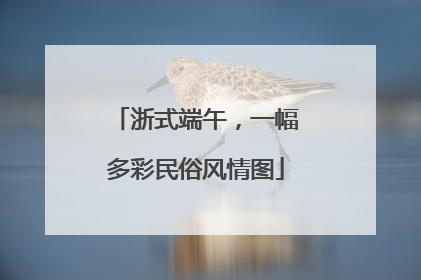 浙式端午，一幅多彩民俗风情图