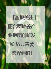 浙报关注丨丽台两地姜产业抱团创新发展 缙云黄姜跨界俏销