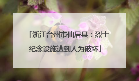 浙江台州市仙居县：烈士纪念设施遭到人为破坏