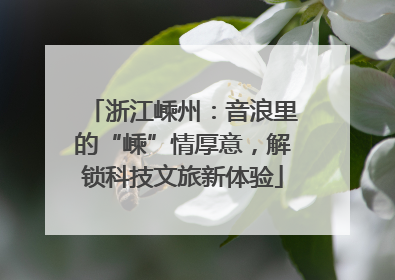 浙江嵊州：音浪里的“嵊”情厚意，解锁科技文旅新体验