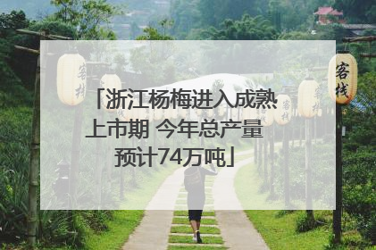 浙江杨梅进入成熟上市期 今年总产量预计74万吨