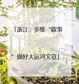浙江：多维“叙事”做好大运河文章