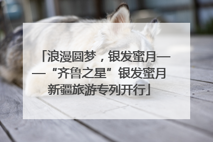 浪漫圆梦，银发蜜月——“齐鲁之星”银发蜜月新疆旅游专列开行