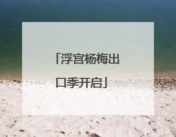 浮宫杨梅出口季开启