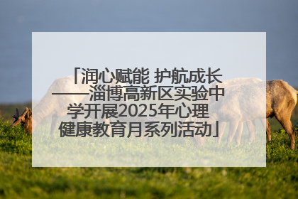 润心赋能 护航成长——淄博高新区实验中学开展2025年心理健康教育月系列活动