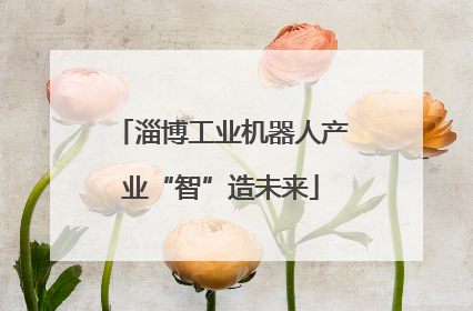 淄博工业机器人产业“智”造未来