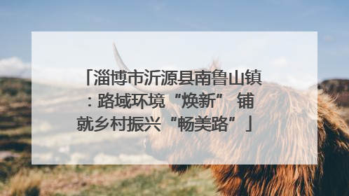 淄博市沂源县南鲁山镇：路域环境“焕新” 铺就乡村振兴“畅美路”