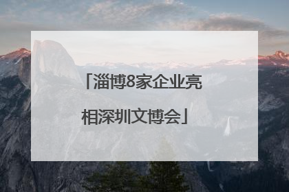 淄博8家企业亮相深圳文博会
