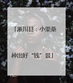 淅川县：小果桑种出好“钱”景