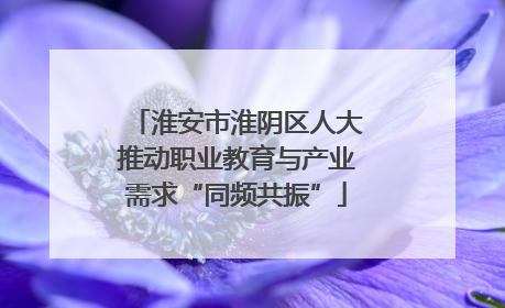 淮安市淮阴区人大推动职业教育与产业需求“同频共振”