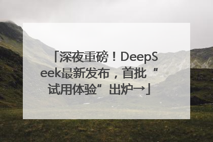 深夜重磅！DeepSeek最新发布，首批“试用体验”出炉→