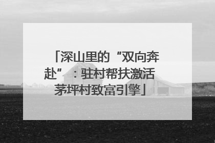 深山里的“双向奔赴”：驻村帮扶激活茅坪村致富引擎