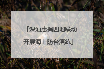 深汕惠揭四地联动开展海上防台演练