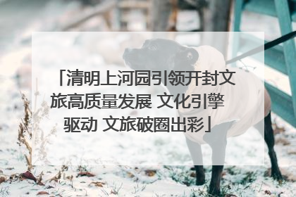清明上河园引领开封文旅高质量发展 文化引擎驱动 文旅破圈出彩