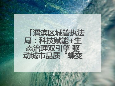 渭滨区城管执法局：科技赋能+生态治理双引擎 驱动城市品质“蝶变跃升”