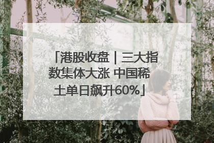 港股收盘｜三大指数集体大涨 中国稀土单日飙升60%