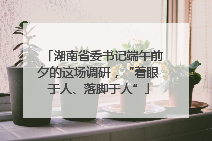 湖南省委书记端午前夕的这场调研，“着眼于人、落脚于人”