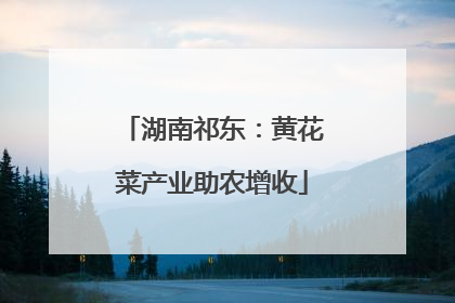 湖南祁东：黄花菜产业助农增收