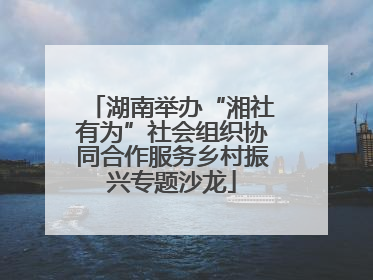 湖南举办“湘社有为”社会组织协同合作服务乡村振兴专题沙龙