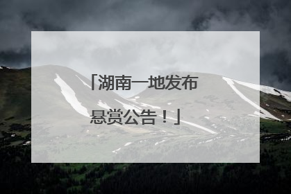 湖南一地发布悬赏公告！