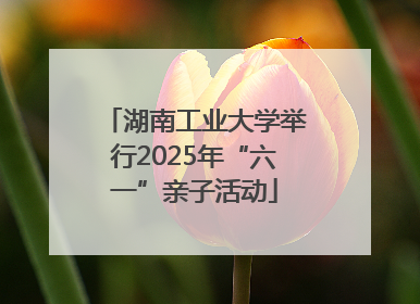 湖南工业大学举行2025年“六一”亲子活动